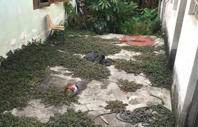 Imagem 3: Terreno à venda, 400 m² por R$ 570.000,00 - Penha - São Paulo/SP