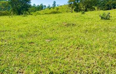 Imagem 12: 32R-Lote/Terreno para venda tem 500 metros quadrados em Jardim Brasil...