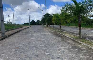 Imagem 4: Lotes à venda, medidas a partir de 160.00 m² por R$ 68.000,00 - Loteamento...