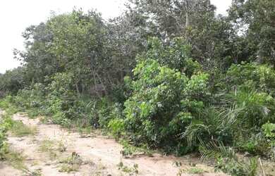 Imagem 4: Tenho um Ótimo Terreno de 18500 mts.no Lago do Peixe TO
