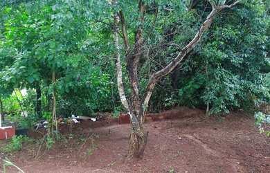 Imagem 4: Cháchara Jardim são José