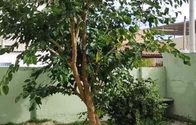 Imagem: A casa possui 2 Dormitórios, 1 Banheiro e 240m² de Área e