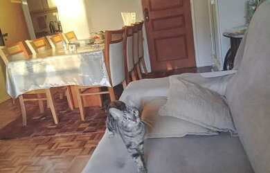 Imagem 16: Vendo apto. 155m² de Área, 2 Vagas na garageme4 Dormitórios