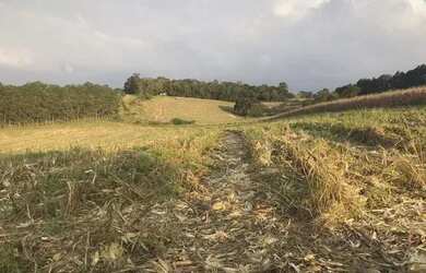 Imagem: O terreno possui 1.000m² de Área, Imóvel novo e está localizado