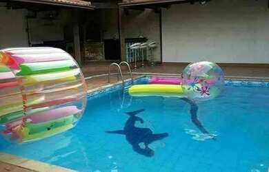 Imagem: A casa possui 3 Dormitórios, 4 Banheiros, 2 Vagas na garagem