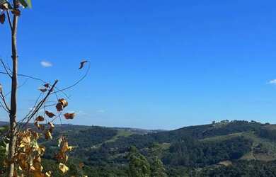 Imagem 9: Terreno Pronto para Construir em Ibipara venda possui 500 metros quadrados em Colégio - Ib