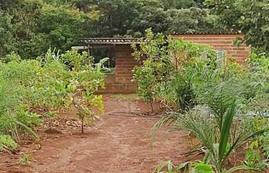 Imagem: A chácara e está localizado em Parque João Braz, Goiânia