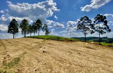 Imagem 4: Lote/Terreno para venda possui 600 metros quadrados em 4 Cantos - Nazaré...