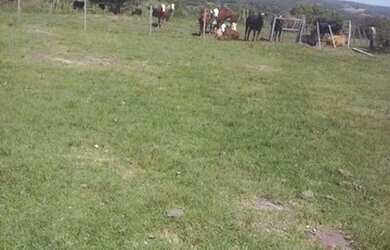 Imagem: A fazenda está localizado em Osório, RS à venda por R$22.000.000