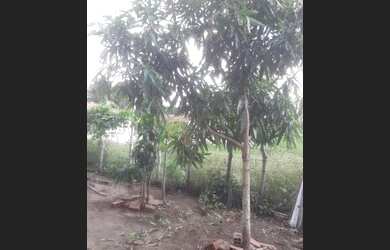 Imagem: A casa possui 3 Dormitórios, 1 Banheiro, 1 Vaga na garagem