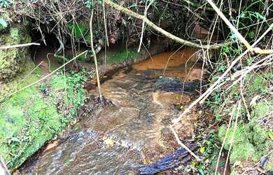 Imagem: A fazenda possui 2.660m² de Área e está localizado em Fazenda
