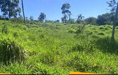 Imagem 4: Lote/Terreno para venda possui 1000 metros quadrados