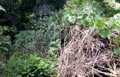 Imagem 10: Terreno à venda, 400 m² por R$ 450.000 - Jardim Santo Alberto - Santo...