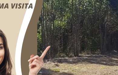 Imagem 6: Lote/Terreno para venda com 20000 metros quadrados em Jardim Bela Vista...