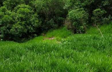 Imagem 8: Atibaia - Terreno Padrão - Jardim Paulista