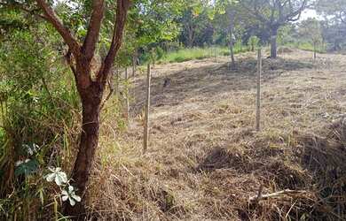 Imagem 3: Lote em igarape. 590m² de Área