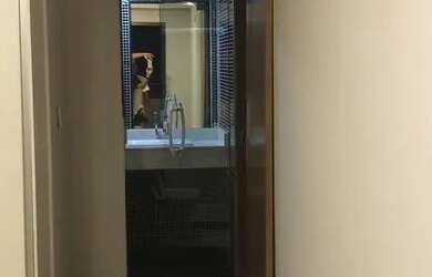 Imagem 7: Casa de condomínio para aluguel com 315 metros quadrados com 4 quartos