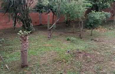 Imagem 9: Excelente casa em Saracuruna