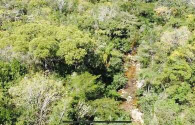 Imagem 2: Fazenda de compensação de Carbono ou reserva legal em Itacambira MG,...