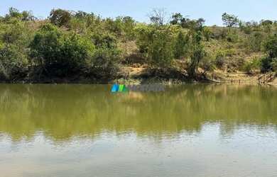 Imagem 12: FAZENDA À VENDA - 1.005 HECTARES - CURVELO MG