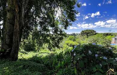 Imagem 6: Terreno para fins residencial ou comercial no bairro Pousada da Neve em...