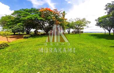 Imagem 6: FAZENDA - MARECHAL CANDIDO RONDON - PR