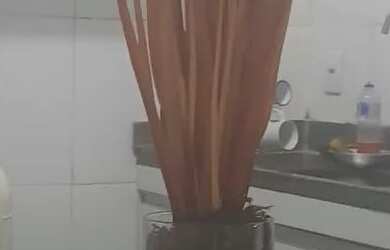 Imagem 5: Apartamento estilo casa 2/4 na Ladeira da Barra para Carnaval