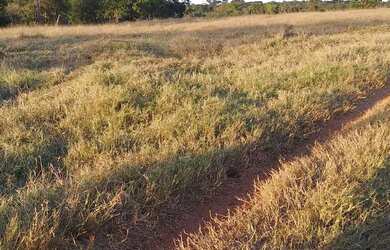 Imagem 4: Fazenda no prata 3 milhões