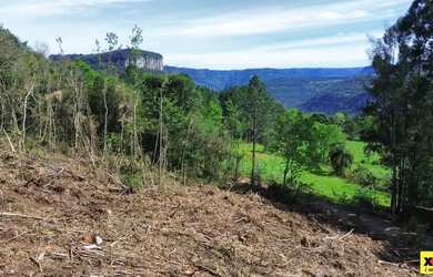 Imagem: A fazenda possui 10.100m² de Área e está localizado em Nova