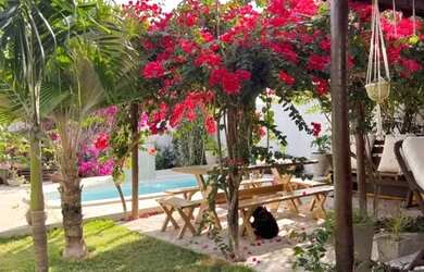 Imagem 5: Casa para Venda em Tibau do Sul / RN no bairro Pipa