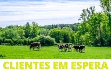 Imagem: A fazenda possui 100.000m² de Área e está localizado em
