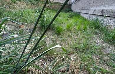 Imagem 10: Lote a Venda Santa Rosa. 360m² de Área