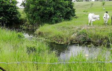 Imagem: A fazenda possui 1.500m² de Área e está localizado em Conde