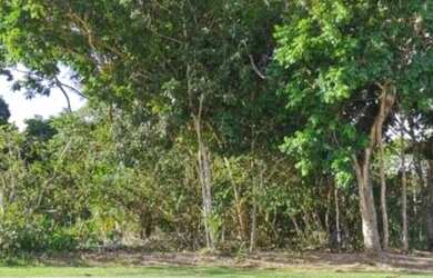 Imagem 9: Lote/Terreno para venda com 600 metros quadrados em Praia do Forte - Mata...