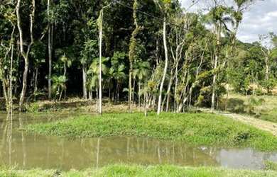 Imagem: A chácara possui 14.000m² de Área e está localizado em