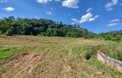 Imagem 11: Lote/Terreno para venda com 600 metros quadrados em Jardim Paineiras -...
