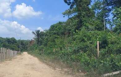 Imagem 5: Vende se este lote de terra