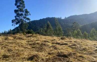 Imagem 1: Lote/Terreno para venda tem 5000 metros quadrados em Jardim Brasil - Atibaia...