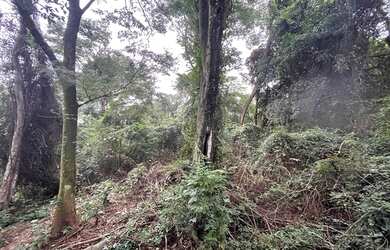 Imagem 6: Lote/Terreno para venda tem 5000 metros quadrados em Freguesia Jacarepaguá...