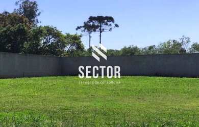 Imagem 1: Terreno à venda em Colônia Murici - São José dos Pinhais