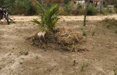 Imagem: O terreno possui 27m² de Área e está localizado em Paço