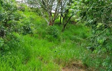 Imagem 6: Atibaia - Terreno Padrão - Jardim Paulista