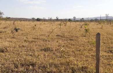 Imagem 1: Lote de 5 mil metros. Imóvel novoe5.000m² de Área