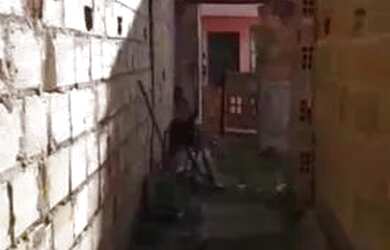 Imagem 6: Terreno 6x22 Pau Miudo. 132m² de Área