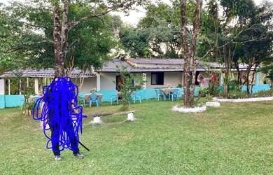 Imagem 8: Venda de fazenda maravilhosa grandiosa