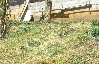 Imagem: A chácara possui 3.000m² de Área e está localizado em Juquitiba