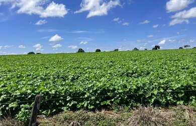 Imagem 5: Vende-se uma excelente fazenda