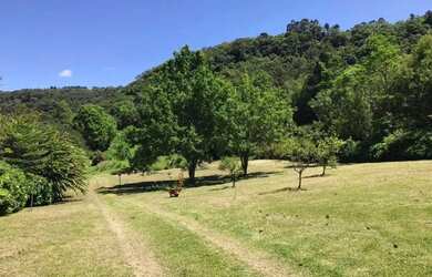 Imagem 12: Sítio - Bairro Carazal. 111.900m² de Área