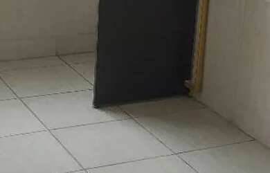 Imagem 6: Aluguel de apartamento