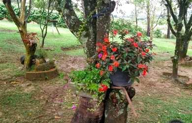 Imagem 13: Chácara á venda em Mairinque